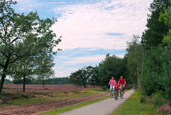Fietsen bij de heidevelden | Bospark De Schaapskooi