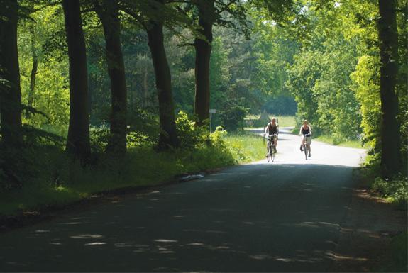 Fietsen in de omgeving | Bospark De Schaapskooi